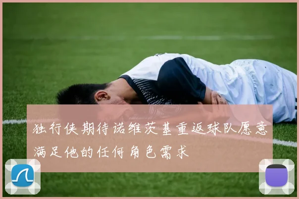 独行侠期待诺维茨基重返球队愿意满足他的任何角色需求
